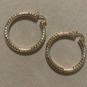 Hoop earrings NWOT